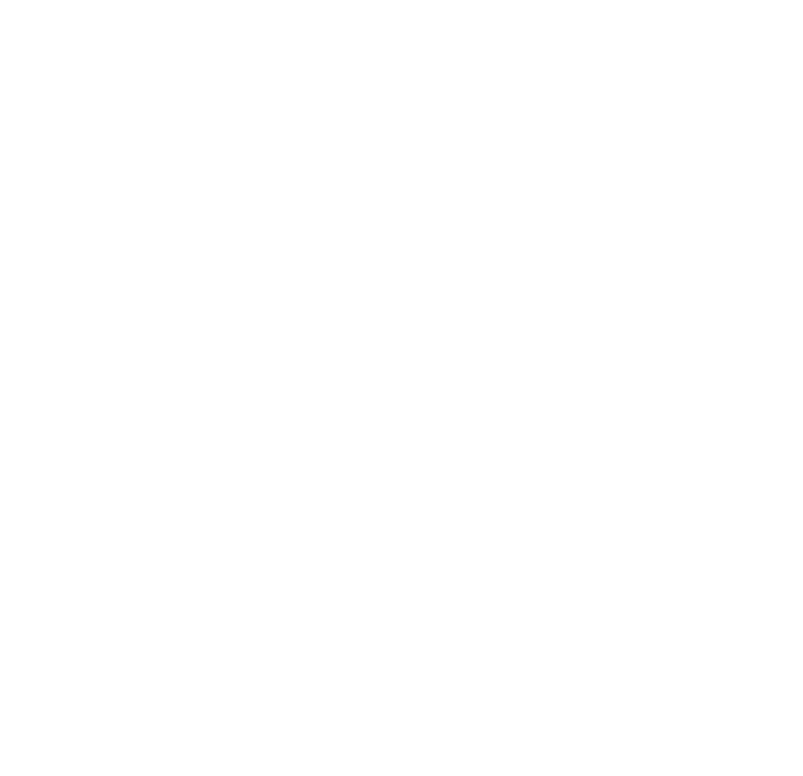 circle icon