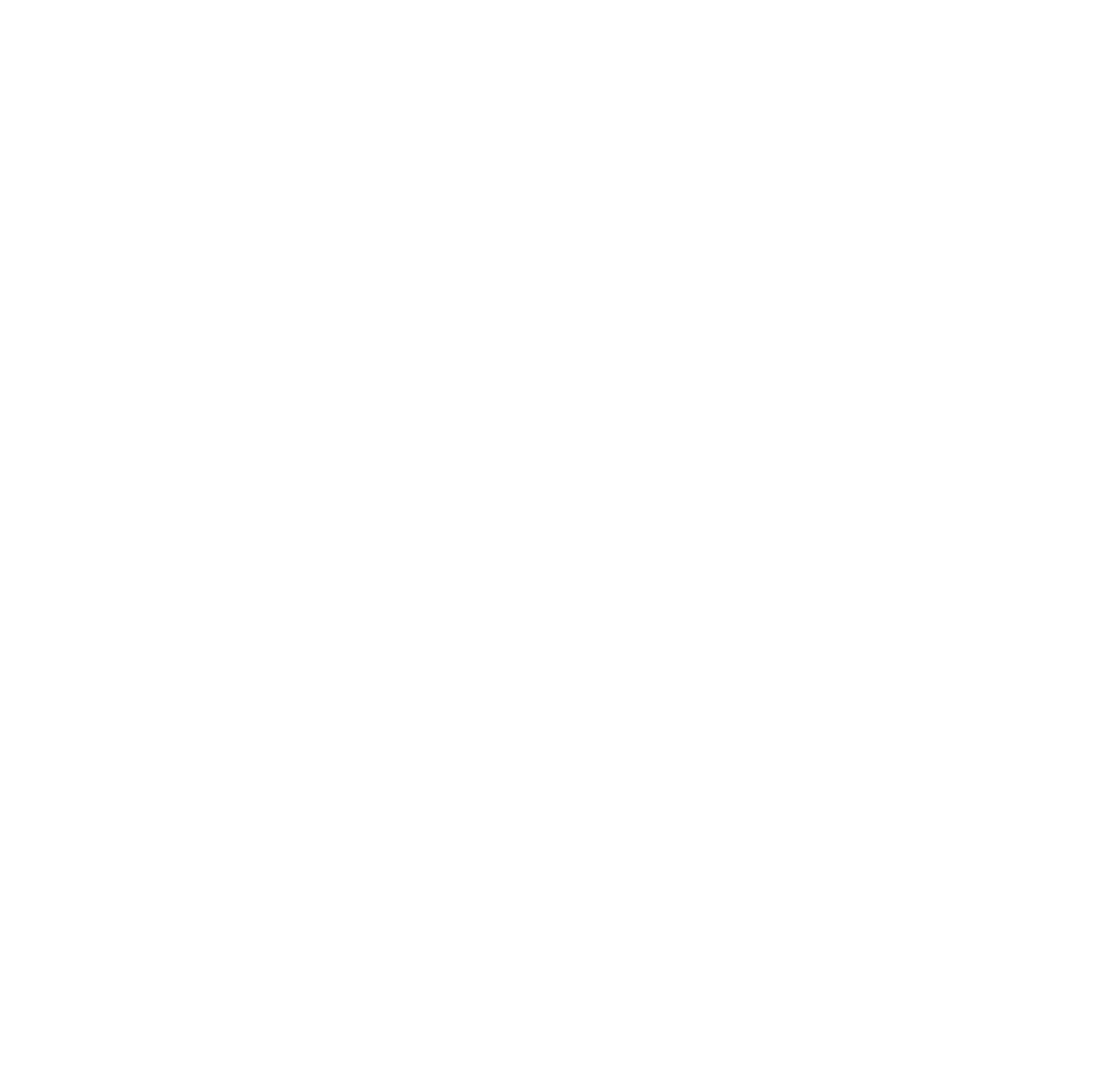 circle icon